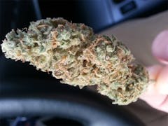 User uploaded image of Guava Chem