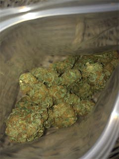 User uploaded image of Guava Chem