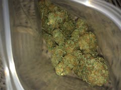 User uploaded image of Guava Chem