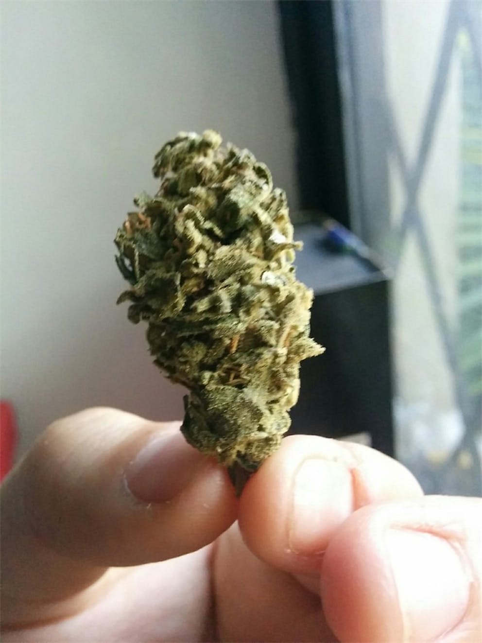 Photos of Guava Kush Weed Strain Buds Leafly