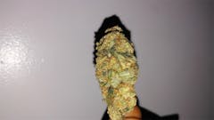 User uploaded image of Gucci OG