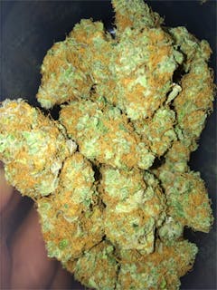 User uploaded image of Gucci OG