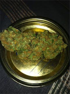 User uploaded image of Guido Kush