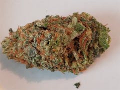 User uploaded image of Guido Kush