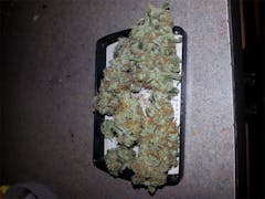 User uploaded image of Harmonia