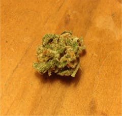 User uploaded image of Gumbo