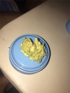 User uploaded image of Gumbo