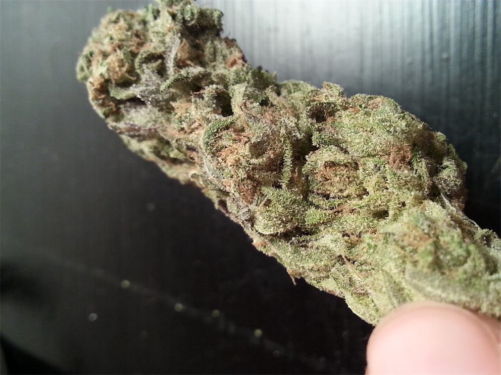 Photos of Gumbo Weed Strain Buds Leafly