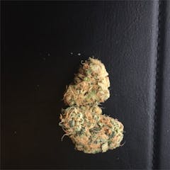 User uploaded image of Gummy Bears