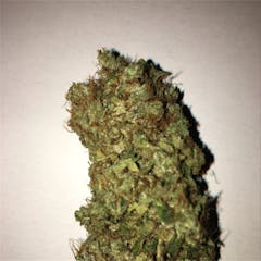 User uploaded image of Gupta Haze
