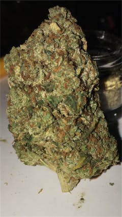 User uploaded image of Gupta Kush