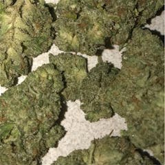 User uploaded image of Guptilla