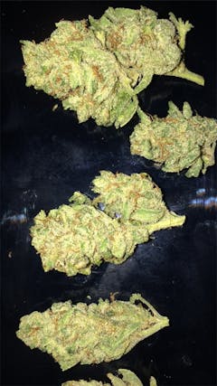 User uploaded image of Gutbuster