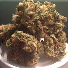 User uploaded image of Haleigh’s Hope