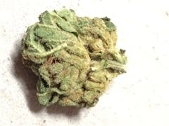 User uploaded image of Haole