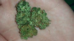 User uploaded image of Haole