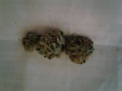 User uploaded image of Haole