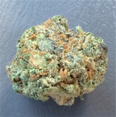 User uploaded image of Haole