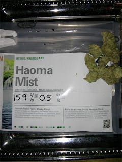 User uploaded image of Haoma Mist