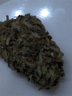 User uploaded image of Haoma