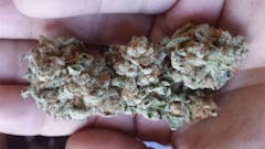 User uploaded image of Hardcore OG