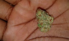 User uploaded image of Hardcore OG