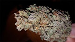 User uploaded image of Harle-Tsu