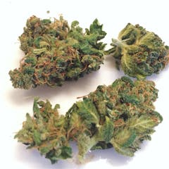 User uploaded image of Harle-Tsu