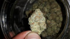 User uploaded image of Harry Potter