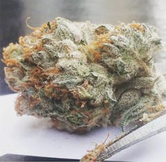 User uploaded image of Harry Potter