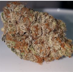 User uploaded image of Harry Potter