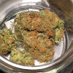 User uploaded image of Hash Plant