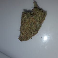 User uploaded image of Hash Plant