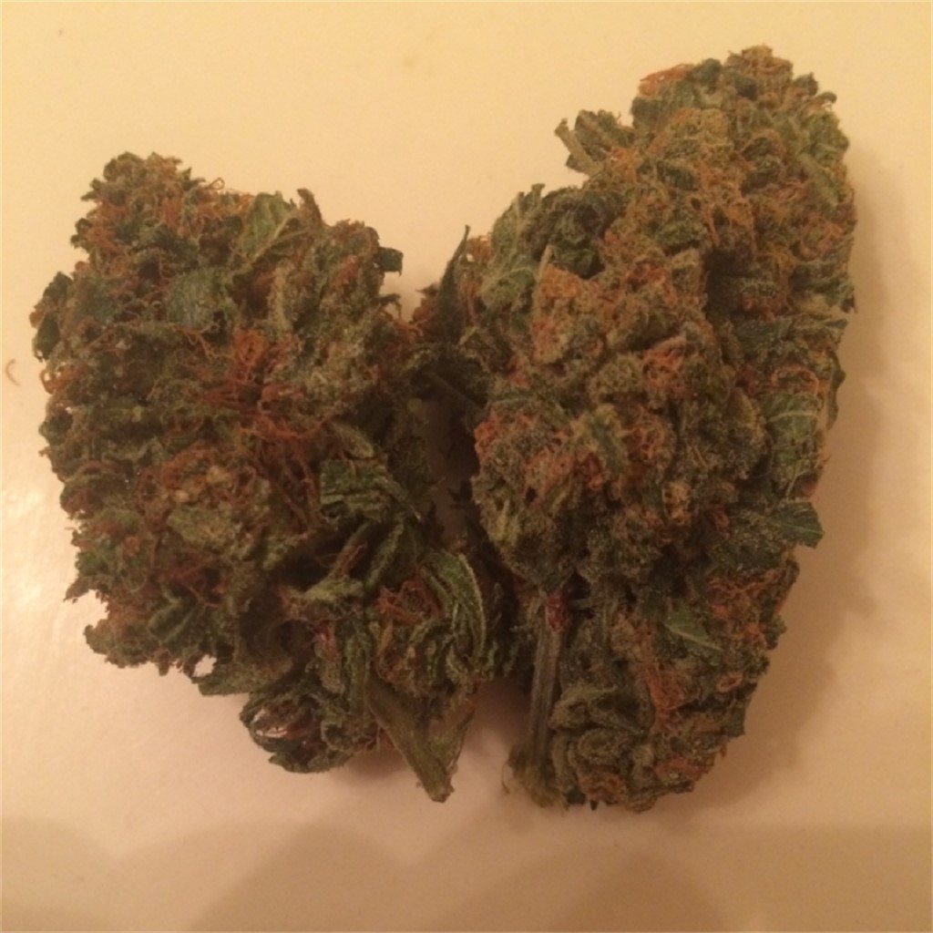 Hashbar Og Aka Hashbar Og Kush Marijuana Strain Information Leafly