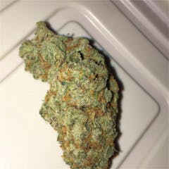 User uploaded image of Hashberry