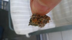 User uploaded image of Hashberry