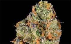 User uploaded image of Hashberry