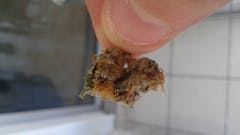 User uploaded image of Hashberry