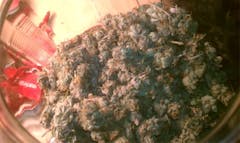 User uploaded image of Hashplant Haze