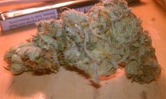 User uploaded image of Hashplant Haze