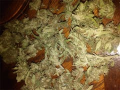 User uploaded image of Hashplant Haze