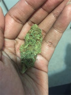 User uploaded image of Hashplant Haze
