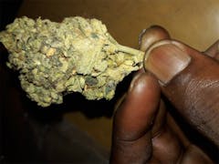 User uploaded image of Hawaiian Cookies