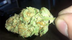 User uploaded image of Hawaiian Delight