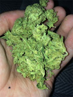User uploaded image of Hawaiian Diesel