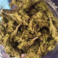 User uploaded image of Hawaiian Diesel