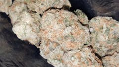 User uploaded image of Hawaiian Dream