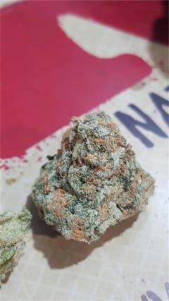User uploaded image of Hawaiian Dream