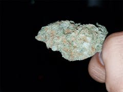 User uploaded image of Hawaiian Dream
