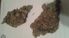 User uploaded image of Hawaiian Fire